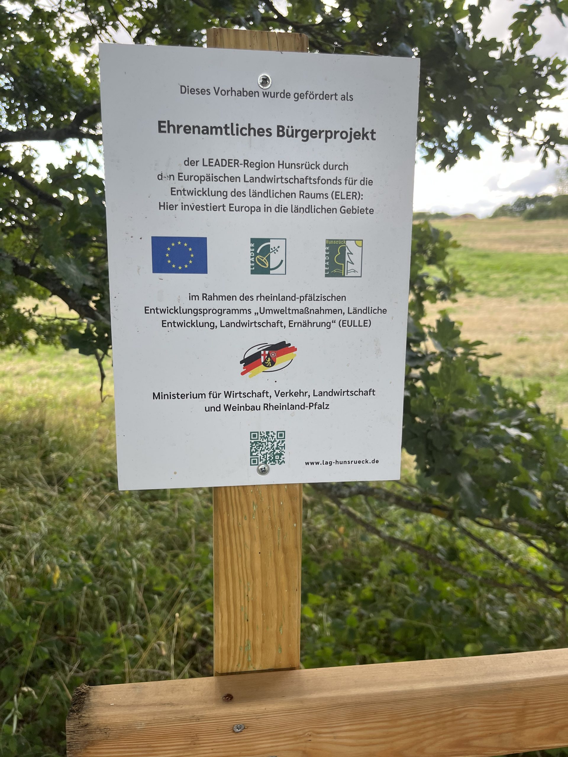 Förderung zum Projekt Tretbecken